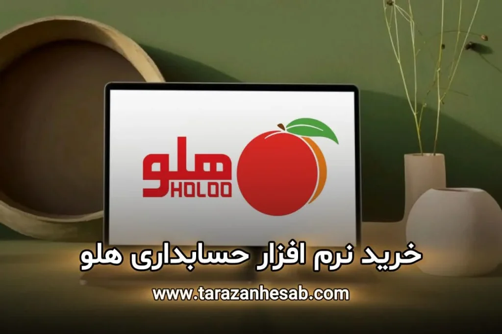 نرم افزار حسابداری هلو در تهران